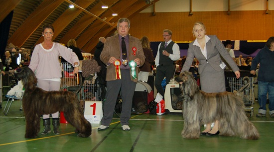 200 Foxi BIR 29 10 2011 Letohallen
