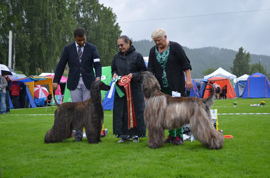 Borås 2013 redigerad 1