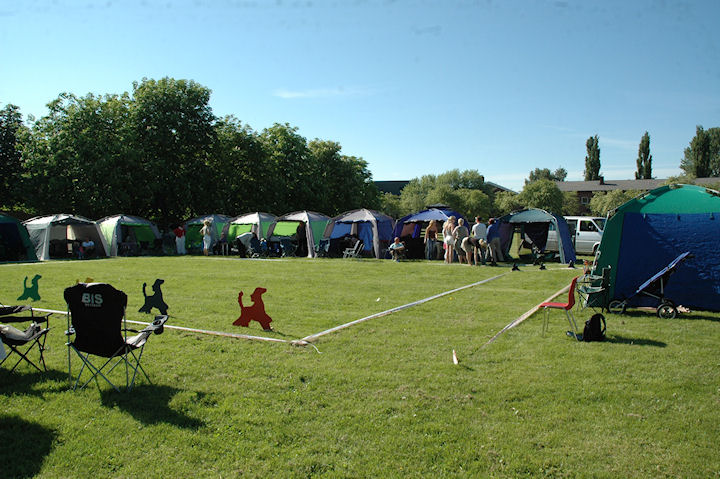 DSC 0004