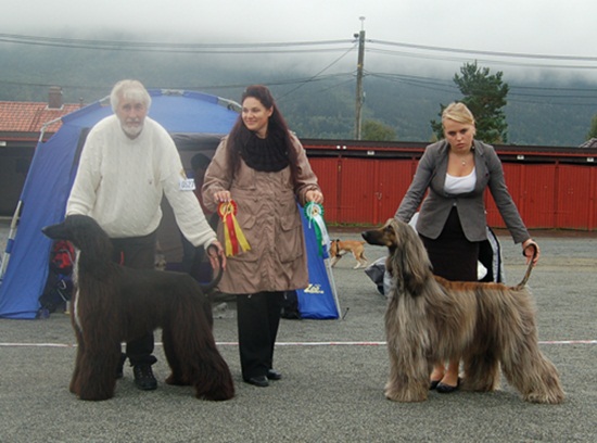 Drammen lor 2011