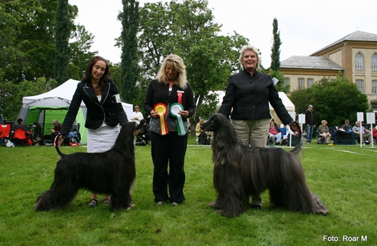 Eplehagen 2011