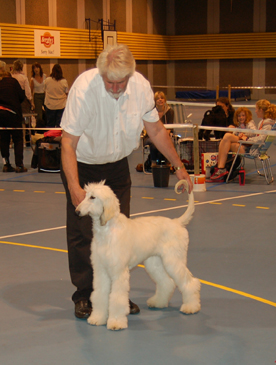 Grenland valpeshow 09 06 2013