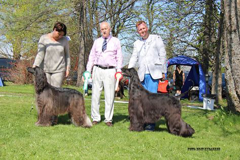 Hadeland 19 05 2013