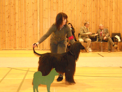 Hordaland 02 03 2013