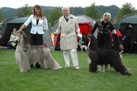 Hundefestival dag1