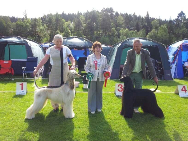 Lørdag 17 august