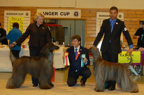 Manger 2011
