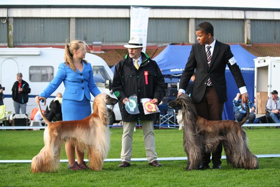 NKK Stavanger 2011