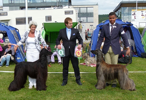 NKK bjerke 2011
