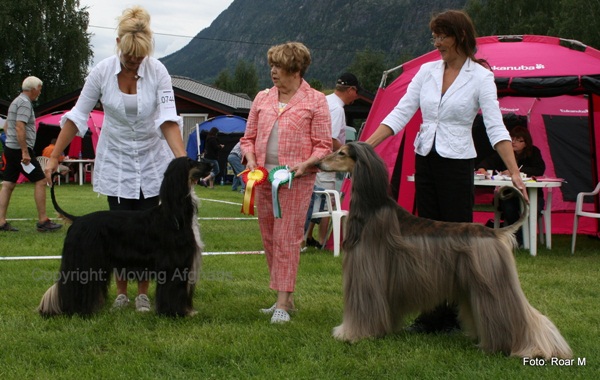 Nesbyen 2011 sondag