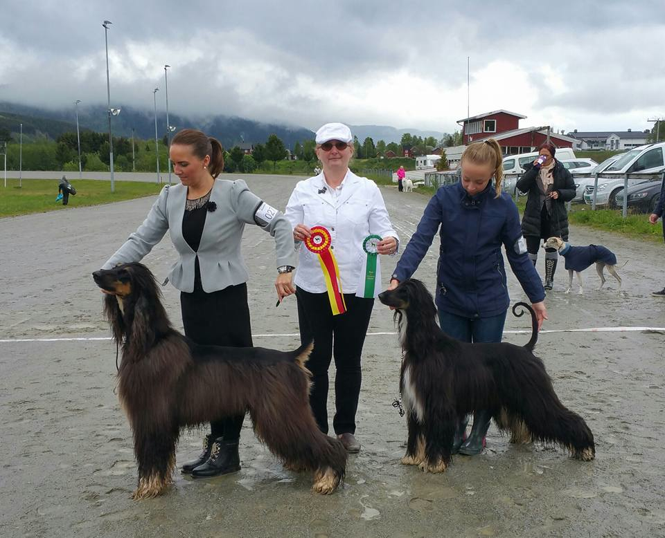 Orkdal