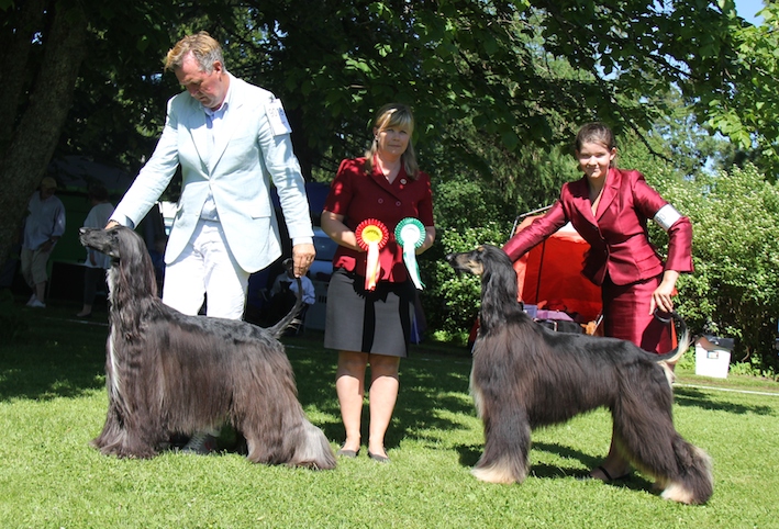 Pinseutstillingen 2014 tilog med 08 06 2014 124