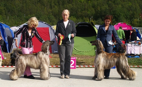Tromso 2011