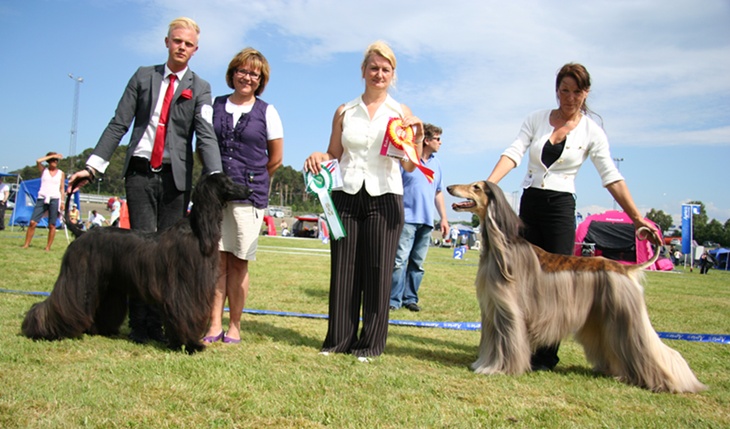Trondheim 2010 3