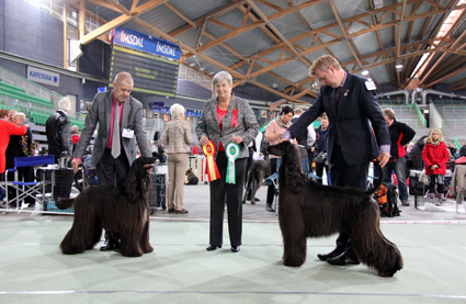 Vikingskipet 13 10 2012 040 800x521