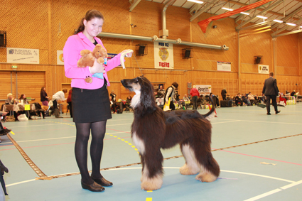 barn hund drammen 03 03