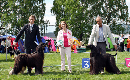 bir Drammen 01 06 2013