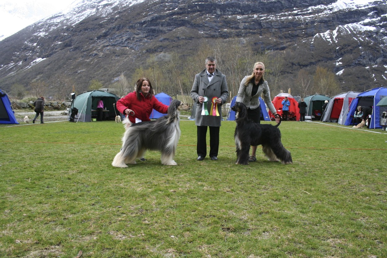 bir bim surndal 28 041