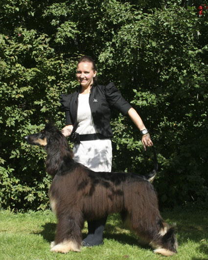 bir stölen 2013