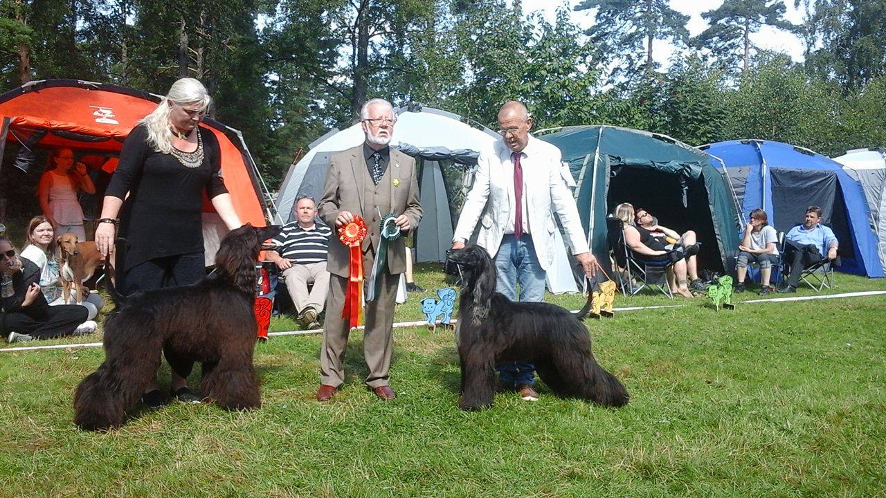 birbim kristiansand
