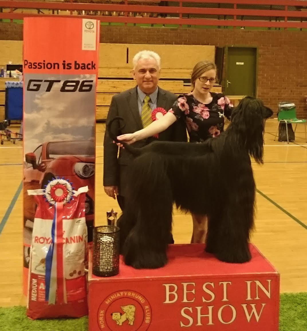 bismars2015