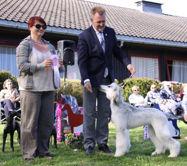 bisvalppinse