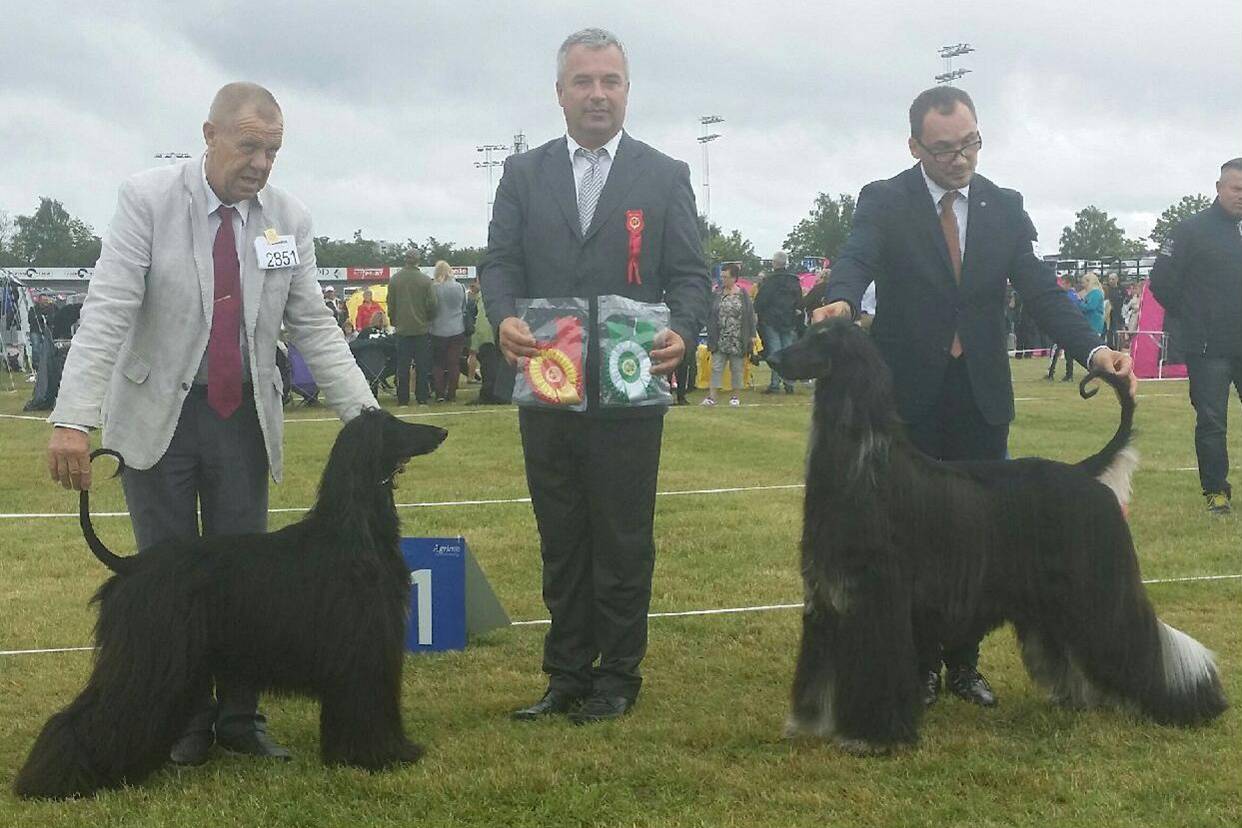 bjerke20141