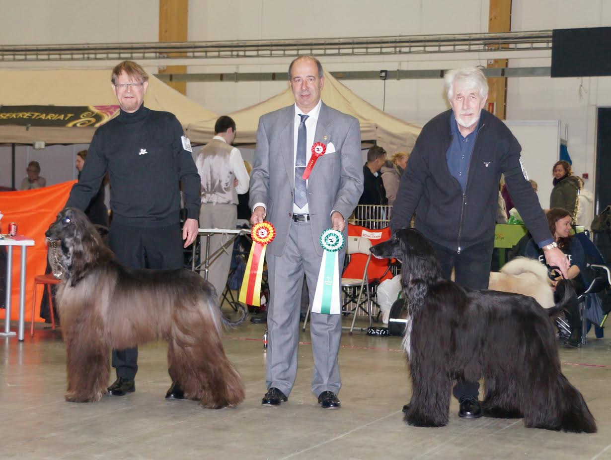 hellerud0702