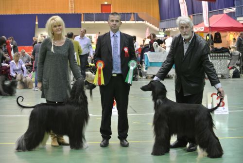 letohallen 28 10 2012