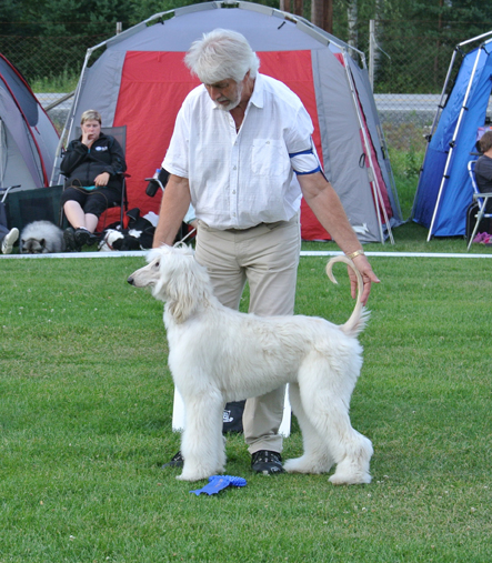 nesbyen 02 08 2013