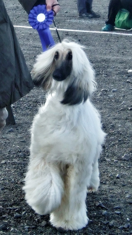 stenkjer 08 09 2012