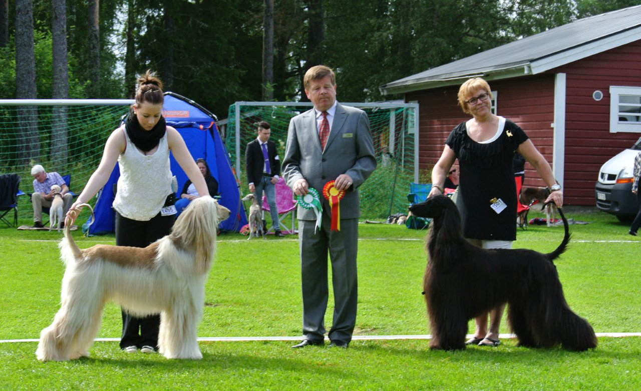 svenstavik 05 08 2012