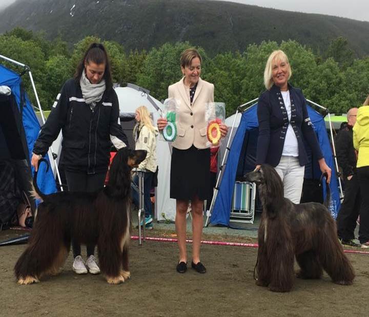tromso 2016