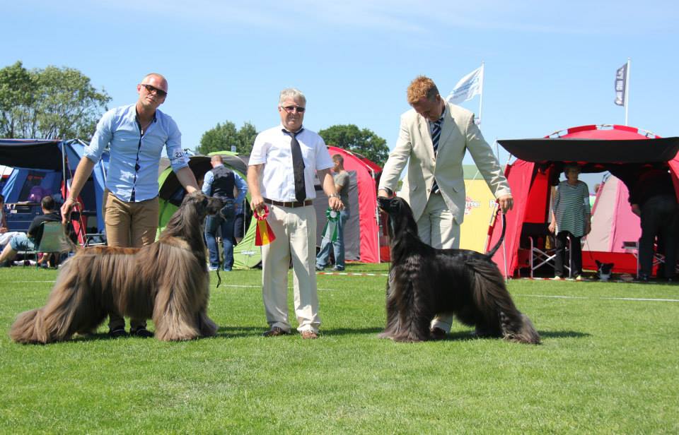 tvååker2014