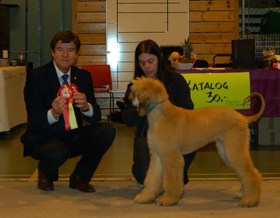 valp Manger 2011