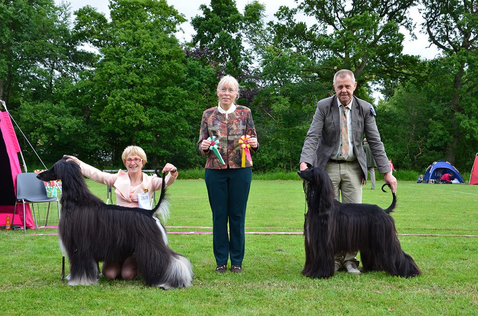 vejen2014
