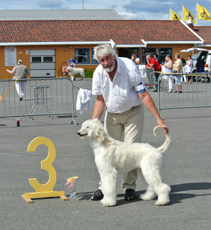 vålerbanan valp 14 07 2013